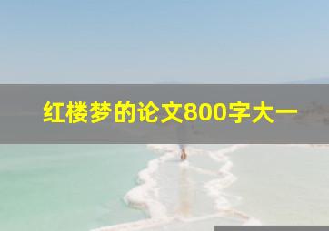 红楼梦的论文800字大一