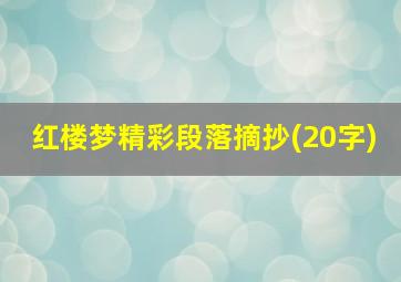 红楼梦精彩段落摘抄(20字)