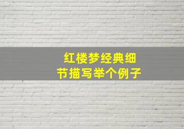 红楼梦经典细节描写举个例子