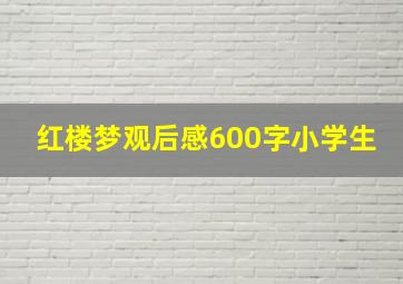 红楼梦观后感600字小学生