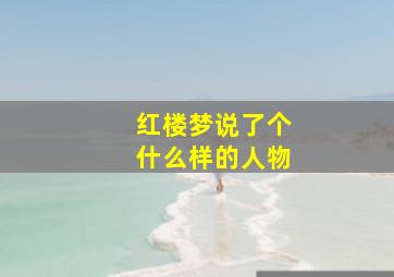 红楼梦说了个什么样的人物