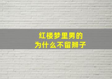 红楼梦里男的为什么不留辫子