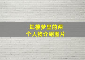 红楼梦里的两个人物介绍图片