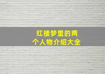 红楼梦里的两个人物介绍大全