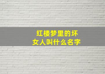 红楼梦里的坏女人叫什么名字