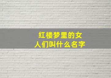 红楼梦里的女人们叫什么名字