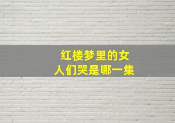 红楼梦里的女人们哭是哪一集