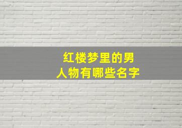 红楼梦里的男人物有哪些名字