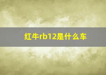 红牛rb12是什么车