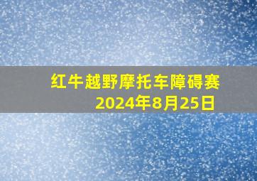 红牛越野摩托车障碍赛2024年8月25日