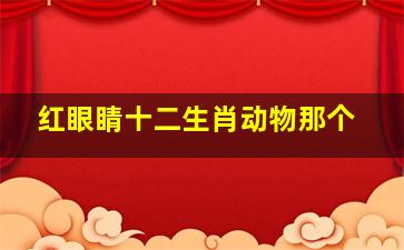 红眼睛十二生肖动物那个