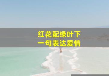 红花配绿叶下一句表达爱情