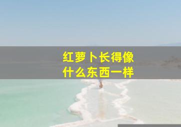 红萝卜长得像什么东西一样