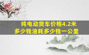 纯电动货车价格4.2米多少钱油耗多少钱一公里