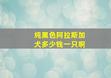 纯黑色阿拉斯加犬多少钱一只啊