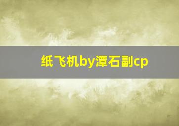 纸飞机by潭石副cp