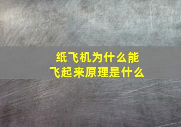 纸飞机为什么能飞起来原理是什么