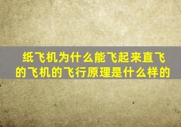 纸飞机为什么能飞起来直飞的飞机的飞行原理是什么样的