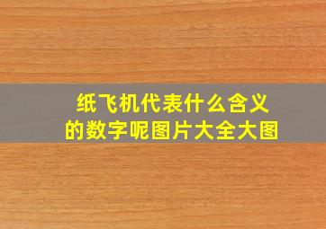 纸飞机代表什么含义的数字呢图片大全大图