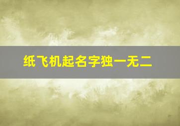 纸飞机起名字独一无二