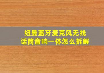 纽曼蓝牙麦克风无线话筒音响一体怎么拆解