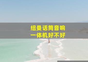 纽曼话筒音响一体机好不好