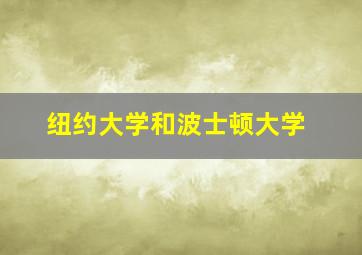 纽约大学和波士顿大学