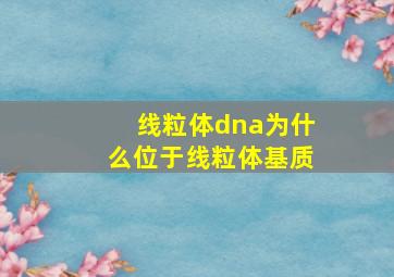 线粒体dna为什么位于线粒体基质