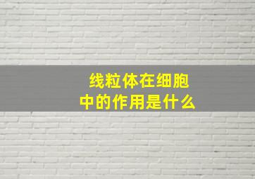 线粒体在细胞中的作用是什么