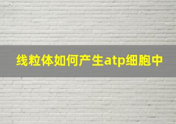 线粒体如何产生atp细胞中