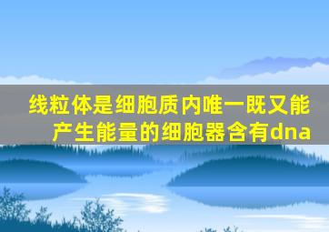 线粒体是细胞质内唯一既又能产生能量的细胞器含有dna