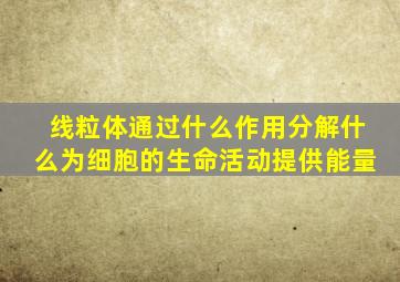 线粒体通过什么作用分解什么为细胞的生命活动提供能量