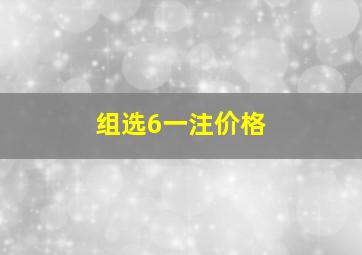 组选6一注价格