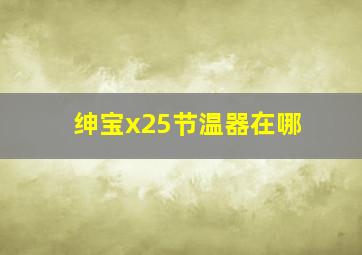 绅宝x25节温器在哪