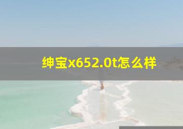 绅宝x652.0t怎么样