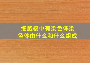 细胞核中有染色体染色体由什么和什么组成