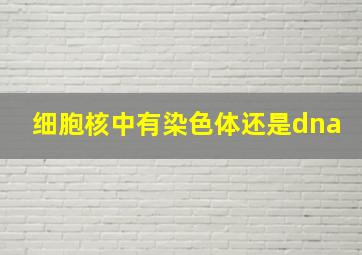 细胞核中有染色体还是dna