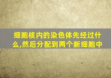 细胞核内的染色体先经过什么,然后分配到两个新细胞中