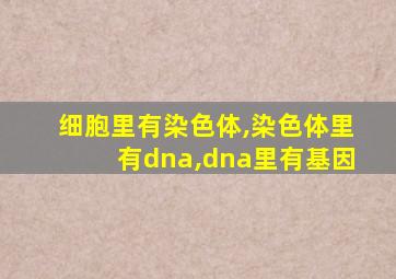 细胞里有染色体,染色体里有dna,dna里有基因