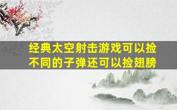 经典太空射击游戏可以捡不同的子弹还可以捡翅膀