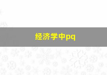 经济学中pq