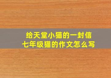 给天堂小猫的一封信七年级猫的作文怎么写