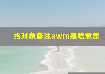 给对象备注awm是啥意思