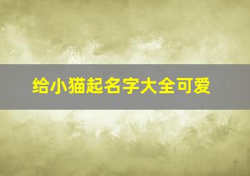 给小猫起名字大全可爱