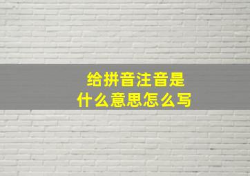 给拼音注音是什么意思怎么写