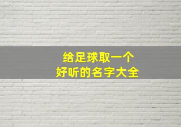 给足球取一个好听的名字大全