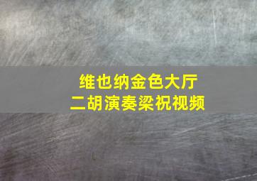 维也纳金色大厅二胡演奏梁祝视频