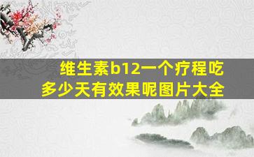 维生素b12一个疗程吃多少天有效果呢图片大全