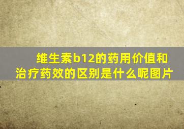 维生素b12的药用价值和治疗药效的区别是什么呢图片