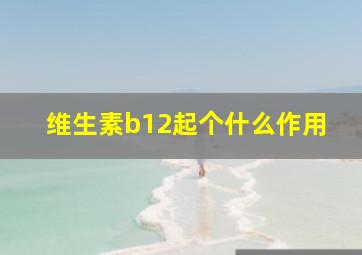 维生素b12起个什么作用